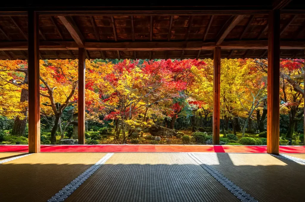 jardín japonés en otoño